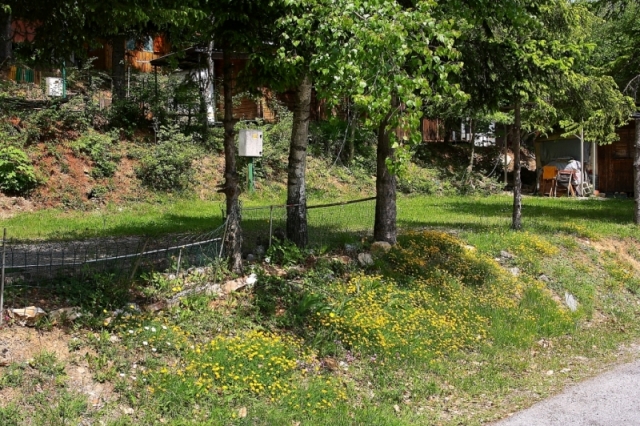 PIAZZOLE LIBERE